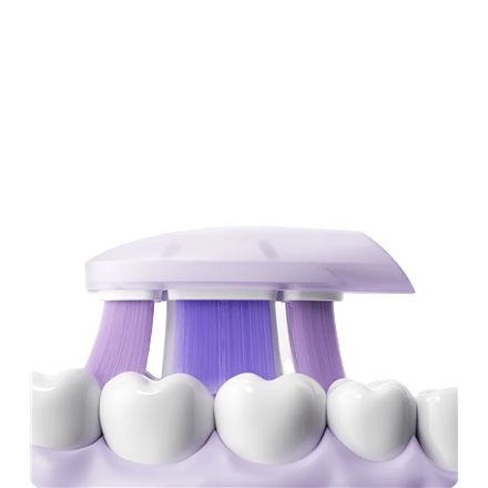 Xiaomi  Oscillation Electric Toothbrush Replacement Heads (Soft), 3-pack