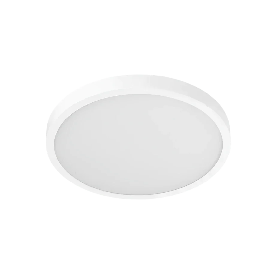 Xiaomi Smart Ceiling Light